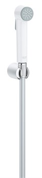 GROHE Гигиенический душ Tempesta-F Trigger Spray 27812IL1 со шлангом - фото 185999