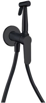 AQUANET Passion Смеситель с гигиеническим душем, цвет черный AQUANET-243316 - фото 321254