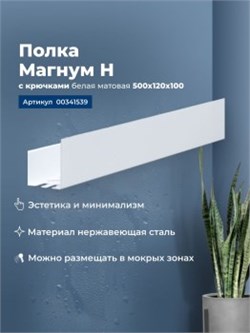 AQUANET Полка Магнум Н 50x12 белая матовая, с крючками AQUANET-341539 - фото 321661