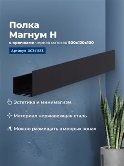 AQUANET Полка Магнум Н 50x12 черная матовая, с крючками AQUANET-341533 - фото 321668