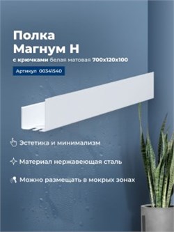 AQUANET Полка Магнум Н 70x12 белая матовая, с крючками AQUANET-341540 - фото 321688