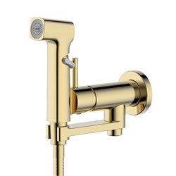 AQUATEK AQ1819BG НИКА Комплект для гигиенического душа встроенный (Смеситель + гигиеническая лейка + шланг), шлиф.золото AQ1819BG - фото 323685