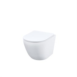 IDDIS Унитаз подвесной безободковый, Blanco Q, (BLQNDSEI25) BLQNDSEI25 - фото 334740