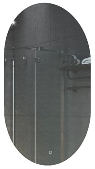 AZARIO Зеркало Alone Arco 600х1000 влагостойкое с подсветкой, сенсорный выключатель с функцией диммера (CS00078967) CS00078967 - фото 338386