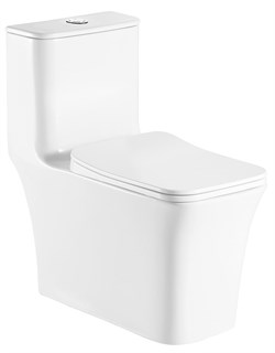 AZARIO Унитаз-моноблок  GRESSA 705х370х760 напольный, безободковый, в комплекте со смывным механизмом Geberit и сиденьем дюропласт микролифт (AZ-1111-G) AZ-1111-G - фото 340236