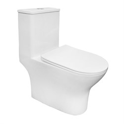AZARIO Унитаз-моноблок  Terni 670x350x760 слив "Торнадо", быстросъемное сиденье микролифт (AZ-8618T) AZ-8618T - фото 340391