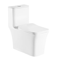 AZARIO Унитаз-моноблок  GRESSA 705х370х760 напольный, безободковый, в комплекте с сиденьем дюропласт микролифт, белый (AZ-1111) AZ-1111 - фото 340466