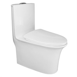 AZARIO Унитаз моноблок  Luna 770x390x710 напольный, горизонтальный слив, сиденье дюропласт микролифт (AZ-1037) AZ-1037 - фото 341593