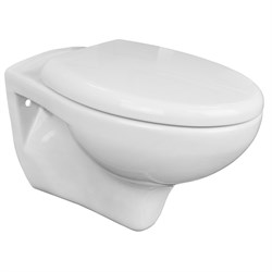 AZARIO Унитаз подвесной  STELLA 370х400х550 ободковый, с быстросъемным сидением микролифт, белый (AZ-VT005+AZ-VT005sc) AZ-VT005+AZ-VT005sc - фото 342070