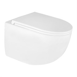 AZARIO Terso Унитаз подвесной 495x360x370 безободковый, слив "Скрытое Торнадо" с быстросъемным сиденьем "Микролифт" (AZ-092E-UQ3) AZ-092E-UQ3