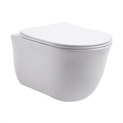 AZARIO Унитаз подвесной LISTA 490х365х340 безободковый, система смыва "Скрытое Торнадо", с быстросъемным сиденьем "Микролифт" (AZ-1177T) AZ-1177T