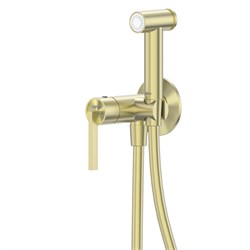 ABBER Смеситель Perfekte 316 AF8A25BG с гигиеническим душем, брашированное светлое золото AF8A25BG