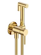 AQUAme Siena Готовый комплект гигиенического душа (скрытый монтаж, латунная лейка), Glossy gold AQM6217GG