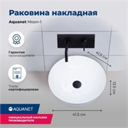 AQUANET Lake Раковина накладная ширина 50 см, черный AQUANET-273672