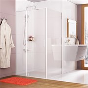 WASSERKRAFT Neime 19P/ Rhin 44S Душевая стенка ширина 100 см распашные, цвет белый WASSERKRAFT 19P10-RP100/44S10-RP100