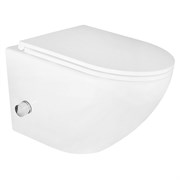 AZARIO Grado Унитаз подвесной 365х495х365 безободковый, с функцией биде, с быстросъемным сиденьем микролифт (AZ-046E-NR) AZ-046E-NR