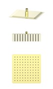 WONZON &amp; WOGHAND Верхний душ , Брашированное золото (WW-88DP06-BG) WW-88DP06-BG