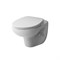 AM.PM Clean Care механическая крышка-биде CCM7851WH
