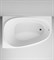 AM.PM Like, ванна акриловая 170х110 см, левосторонняя, шт W80A-170L110W-A