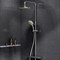 AM.PM Spirit V2.0 душ.система, набор: смеситель д/душа с термостатом, верхн. душ d 250 мм, ручн. F0770A400