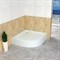 RGW STYLE P 800х800 Душевой поддон полукруглый акриловый 16180488-11