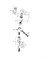 GROHE Смеситель для биде Eurosmart 32927002 GROHE-32927002
