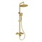 WASSERKRAFT Душевая система-стойка с термостатическим смесителем с изливом, золото матовое A199.259.201.BG Thermo