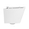 BELBAGNO Due Чаша унитаза подвесного c креплением и сиденьем дюропласт soft close, цвет белый BB3103CHR/SC
