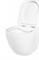 BELBAGNO Uno Унитаз подвесной безободковый c креплением и сиденьем дюропласт soft close, цвет белый BB3105CHR/SC
