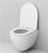 AM.PM C701700SC Spirit V2.0 подвесной унитаз FlashClean с сиденьем микролифт C701700SC