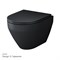 AM.PM C701700MBSC Spirit V2.0 подвесной унитаз FlashClean с сиденьем микролифт, черный матовый C701700MBSC