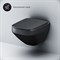 AM.PM C50A1700MBSC Inspire V2.0 подвесной унитаз FlashClean с сиденьем микролифт, черный матовый C50A1700MBSC