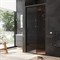 AM.PM W90G-100-1-195BBr Gem Solo Дверь душевая 100х195, стекло бронзовое, профиль черный матовый - фото 226809