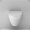 AM.PM Spirit V2.0 Унитаз подвесной FlashClean с сиденьем микролифт, белый матовый C701700MWSC