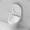 AM.PM Spirit V2.0 Унитаз подвесной FlashClean с сиденьем микролифт, белый матовый C701700MWSC