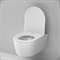 AM.PM Func Унитаз подвесной FlashClean с сиденьем микролифт, белый матовый C8F1701MWSC