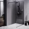 AM.PM Func Душевая перегородка 110x200 см, профиль - черный / стекло - прозрачное, 8 мм W84WI-110-F1-BTE