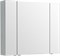 AQUANET Зеркальный шкаф Алвита New 100 Серый AQUANET-277544