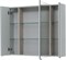AQUANET Зеркальный шкаф Алвита New 100 Серый AQUANET-277544