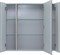 AQUANET Зеркальный шкаф Алвита new 90 серый AQUANET-303895