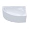 TRITON Ванна асимметричная обрезанная Изабель 170-левая 1700*1000, белый - фото 266665
