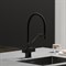 SANCOS Loro Смеситель для кухни c возможностью подключения фильтра для воды, цвет матовый черный SC4007MB