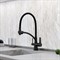 SANCOS Eri Смеситель для кухни с возможностью подключения фильтра, цвет матовый черный SC4001MB