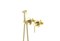 AQUATEK ЕВРОПА Комплект для гигиенического душа встроенный 2 отв. (смеситель + гигиеническая лейка + шланг), шлиф. золото AQ1319BG