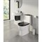 SANITA LUXE Унитаз-компакт Best с быстросъемным сидением микролифт и черной крышкой WC.CC/Best/2-DM/BLK.G/S1 - фото 292220 SANITA LUXE Унитаз-компакт Best с быстросъемным сидением микролифт и черной крышкой WC.CC/Best/2-DM/BLK.G/S1 - фото 292220