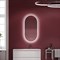 SANCOS Oval Зеркало для ванной комнаты , фронтальная подсветка 550х1050 с сенсорным управлением на прикосновение, арт. OV55F OV55F