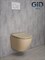 GID Унитаз подвесной Sr2198 62210Y светло-коричневый матовый 49x36x35.5 GID-62210y