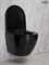 GID Унитаз подвесной Tr2198-18 62204Y черная глянцевая 49x36x35.5 GID-62204y