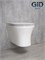 GID Унитаз подвесной Tr2101 62232Y белый 49x36x36 GID-62232Y - фото 317841