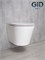 GID Унитаз подвесной Tr2130 62235Y белый 50x36x35 GID-62235Y - фото 317853